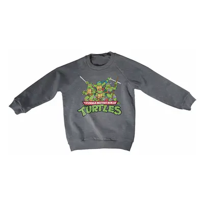 Želvy Ninja mikina, Distressed Group Sweatshirt Grey, dětská