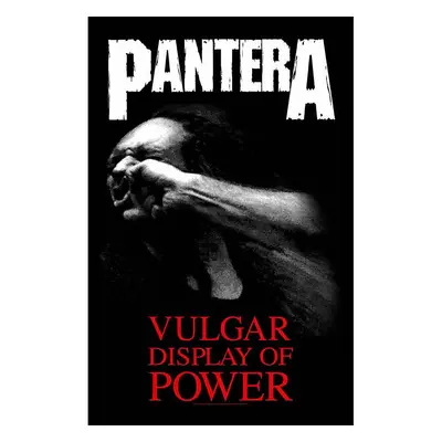 Pantera textilní banner 70cm x 106cm, Vulgar Display Of Power