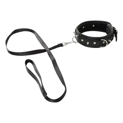 Vegan Fetish Collar and Leash