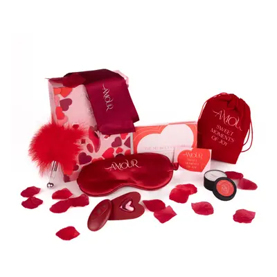 Sada Dream Toys AMOUR THE SECRETS OF LOVE PANTY PLAY KIT