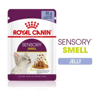 Royal Canin Sensory Smell - vlhké krmivo v želé pro dospělé kočky x g