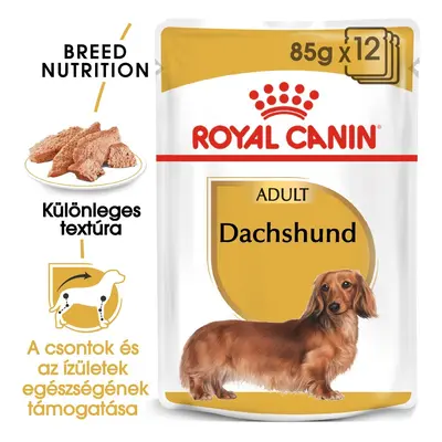 Royal Canin Dachshund Adult - kapsičky pro dospělé psy jezevčíků x g