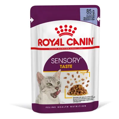 Royal Canin Sensory Taste - vlhké krmivo v želé pro dospělé kočky x g