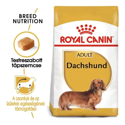 Royal Canin Dachshund Adult - granule pro dospělé psy jezevčíků 0,5 kg