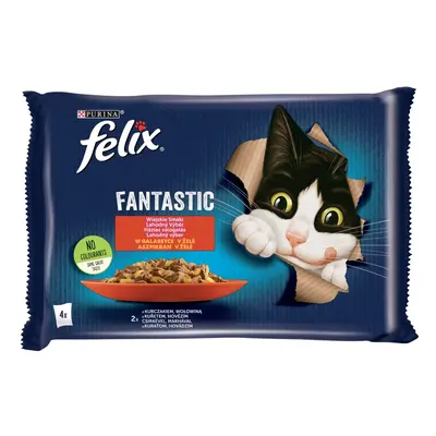 Felix Fantastic lahodný výběr v želé - s hovězím a kuřetem x g