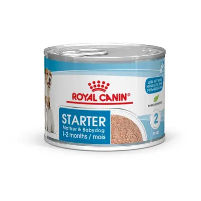 Royal Canin Starter - kašovité krmivo pro štěňata g