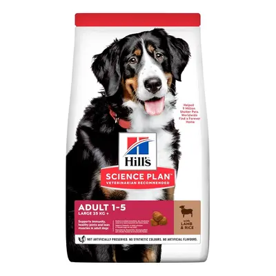 Hill's Science Plan Adult Large Breed krmivo pro psy s jehněčím a rýží kg