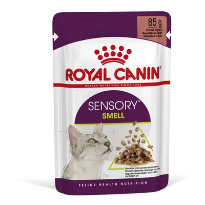 Royal Canin Sensory Smell - vlhké krmivo v omáčce pro dospělé kočky x g