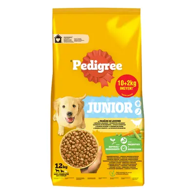 Pedigree Junior M/L suché krmivo pro psy - drůbež, zelenina kg