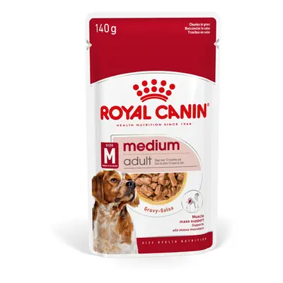 Royal Canin Medium Adult - vlhké krmivo v omáčce pro dospělé psy středních plemen x g