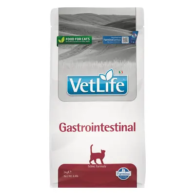 Vet Life Cat Gastrointestinal g