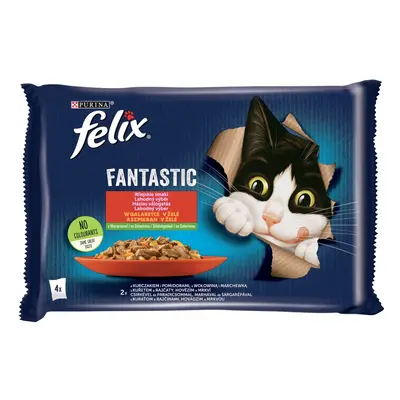 Felix Fantastic lahodný výběr se zeleninou v želé - s hovězím a kuřetem x g