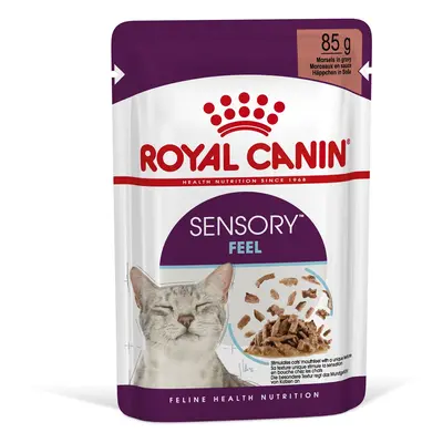 Royal Canin Sensory Feel - vlhké krmivo v omáčce pro dospělé kočky x g