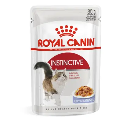 Royal Canin Instinctive Jelly - vlhké krmivo v želé pro dospělé kočky x g