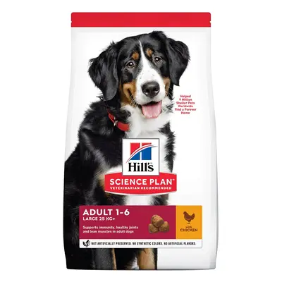 Hill's Science Plan Adult Large Breed krmivo pro psy s kuřecím masem kg