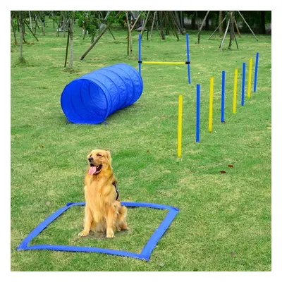 Goleto Agility překážky pro psy | sada 4 typy