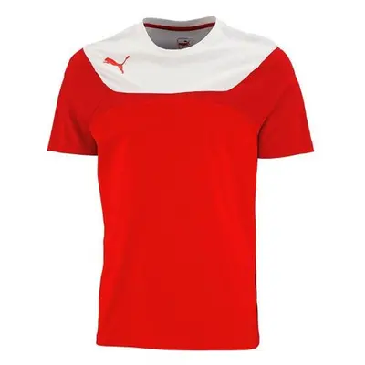 Puma Dětské tričko Puma ESITO 3 Leisure Tee JR | Červená | 653969 01 | velikost 164