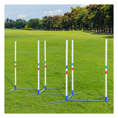 Goleto Agility slalom pro psy