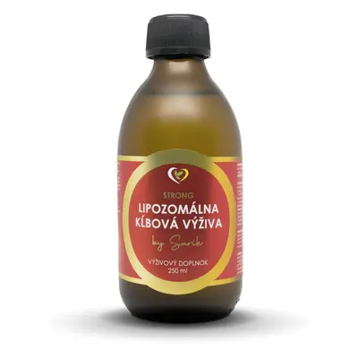 Zdravý Svet Liposomální kloubní výživa, 250ml