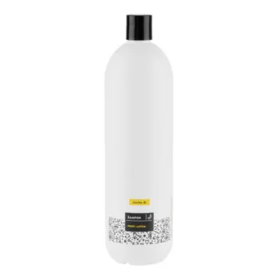 CALTHA Tekutý šampon proti lupům / zázvor Objem: 1000 ml