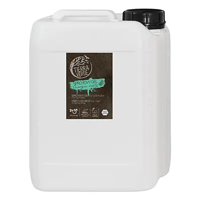 Tierra Verde – Sprchový gel pro muže Energie máty, 5 l