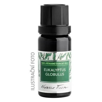 Nobilis Tilia Éterický olej Eukalyptus globulus varianta: 50 ml