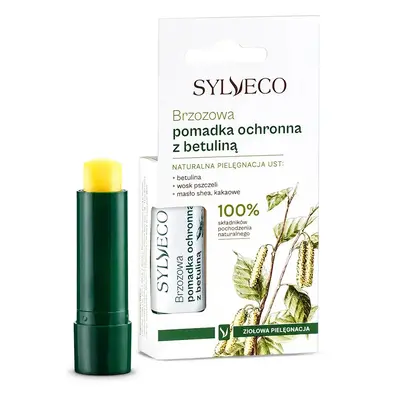 Sylveco Ochranná rtěnka Birch s betulinem, 4,6 g