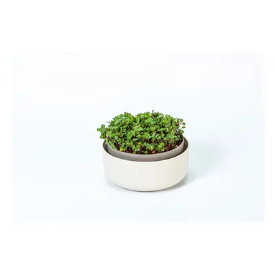 Plastia Microgreens kulatý, slonová kost,16cm