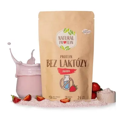 Natural Protein Bezlaktózový protein - Malina 350g