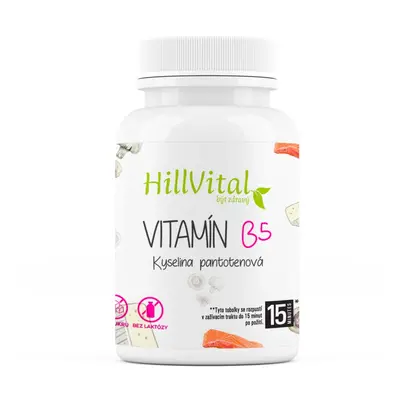 HillVital Vitamín B5, 100 kapslí