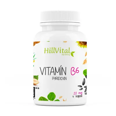 HillVital Vitamín B6, 100 kapslí