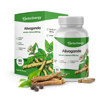 Herbs Energy Ashwagandha – extrakt z kořene 800 mg, 90 kapslí