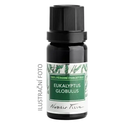 Nobilis Tilia Éterický olej Eukalyptus globulus varianta: 20 ml