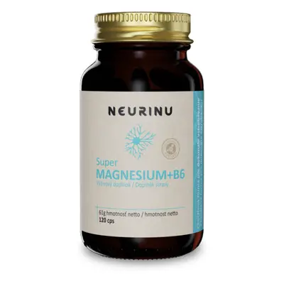 NEURINU Super MAGNESIUM+B6, 120 kapslí