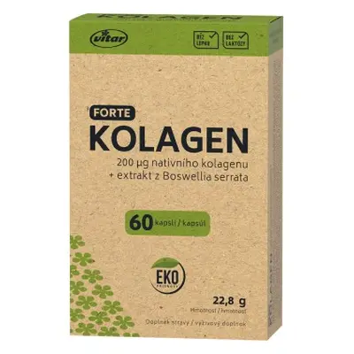 Vitar Kolagen EKO, 60 kapslí