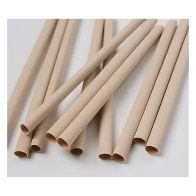 EURO STRAWS Bambusová brčka Bamboo Europe Smoothie 1060 ks Délka: 230 mm