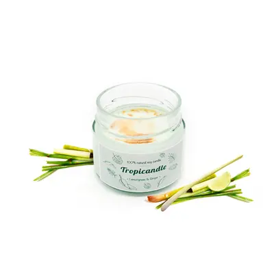 Tropikalia Tropicandle - LEMONGRASS & GINGER