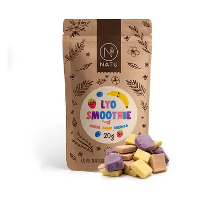 NATU Lyo smoothie mix 20g