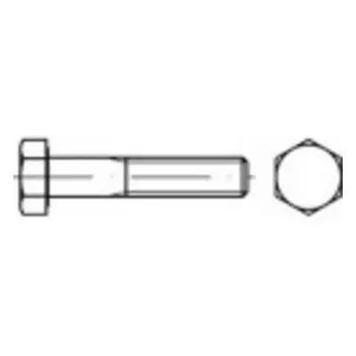 TOOLCRAFT 1063310 šestihranné šrouby M18 70 mm