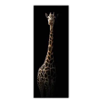 Obraz Styler Glas Animals Gira, 50 x 125 cm