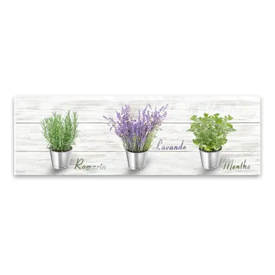 Obraz Styler Canvas Shabby Herbs, 27 x 75 cm