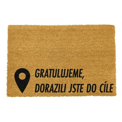 Rohožka z kokosového vlákna 40x60 cm Pin – Artsy Doormats