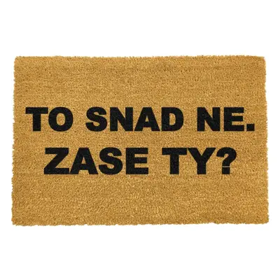 Rohožka z kokosového vlákna 40x60 cm Zase Ty? – Artsy Doormats