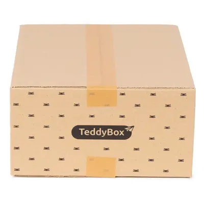 Sada 3 béžových úložných boxů Compactor Teddy, 35 x 15 cm