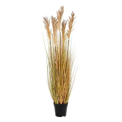 Umělá tráva (výška 110 cm) Sorghum – House Nordic