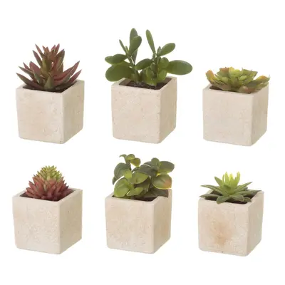 Umělé rostliny v sadě 6 ks (výška 9,5 cm) Cactus – Casa Selección