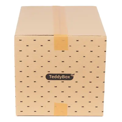 Sada 2 béžových úložných boxů Compactor Teddy, 42 x 30 cm