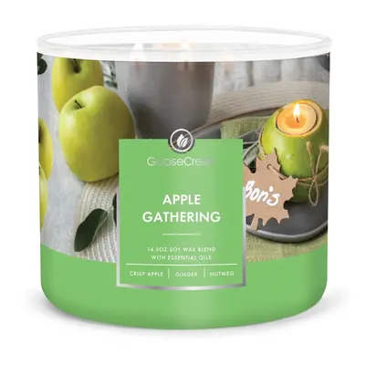 Vonná sojová svíčka doba hoření 35 h Apple Gathering – Goose Creek