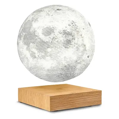 LED stolní lampa v přírodní barvě (výška 14 cm) Moon – Gingko