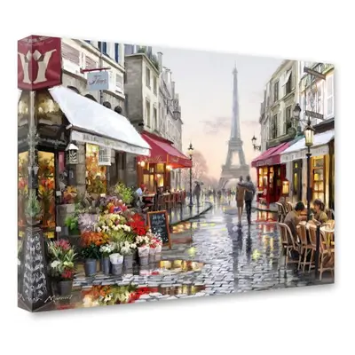 Obraz Styler Canvas Watercolor Paris I, 60 x 80 cm